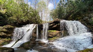 A waterfall cascading over rocks in a forested area. - Charming 1-bedroom studio in the mountains (Greeneville)