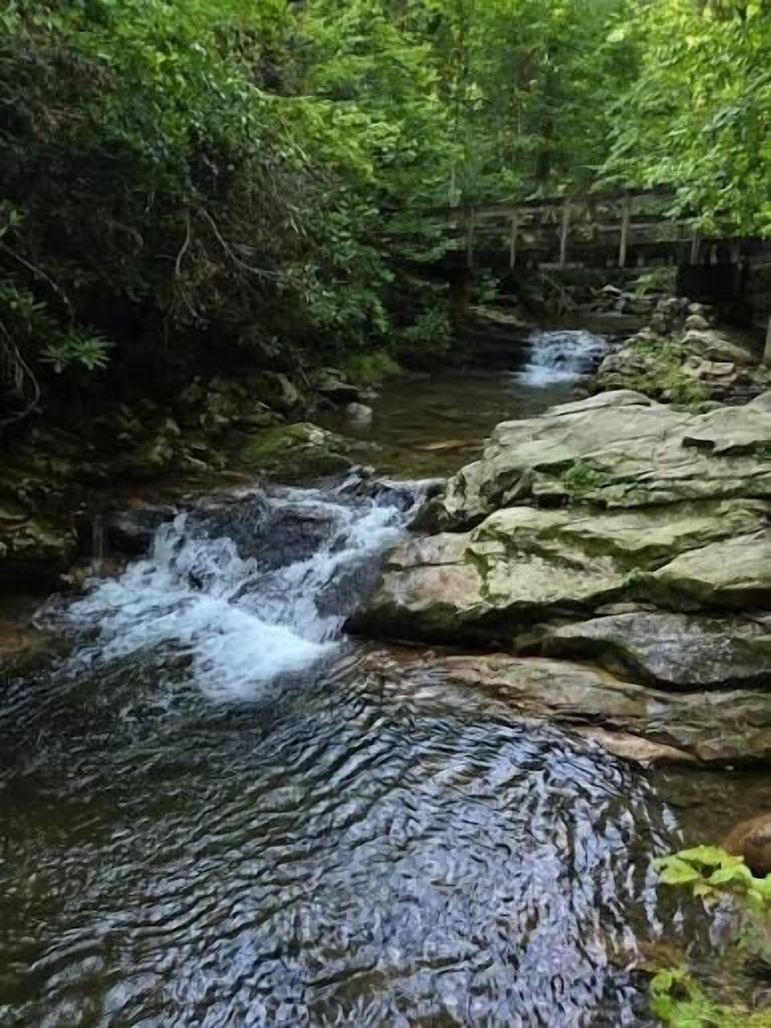 A natural stream flowing over rocks in a forested area.