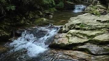 A natural stream flowing over rocks in a forested area.
