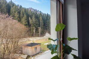Interior - Vila Hrastnica_1_Apartma Praprot_10 min from Škofja Loka (Škofja Loka)