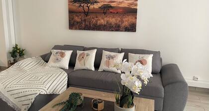 Apartment in Avignon