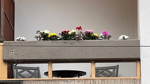 A balcony with a wooden ceiling and a small window. There are flowers on the balcony railing. - ❤ VipStay the stylish 53m² suite with kitchen, balcony, parking, WiFi, SmartTV ❤ (Wiesloch)