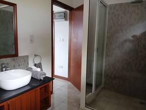 Shower, bidet, towels, soap