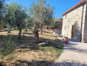 Property grounds - Casa Picau (Sobreira Formosa)