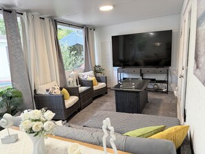 Smart TV, fireplace, books