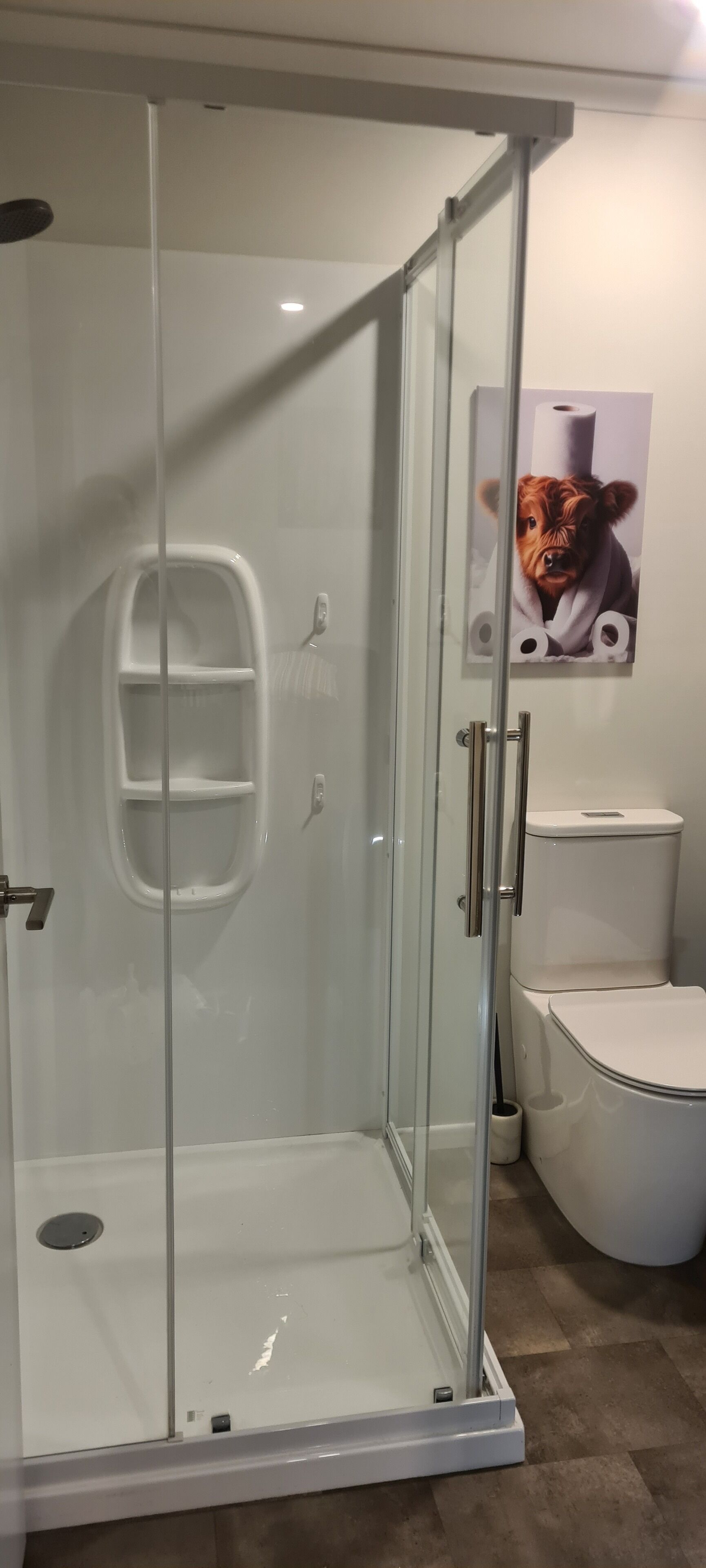 A glass-enclosed shower with a white toilet and a poster on the wall.