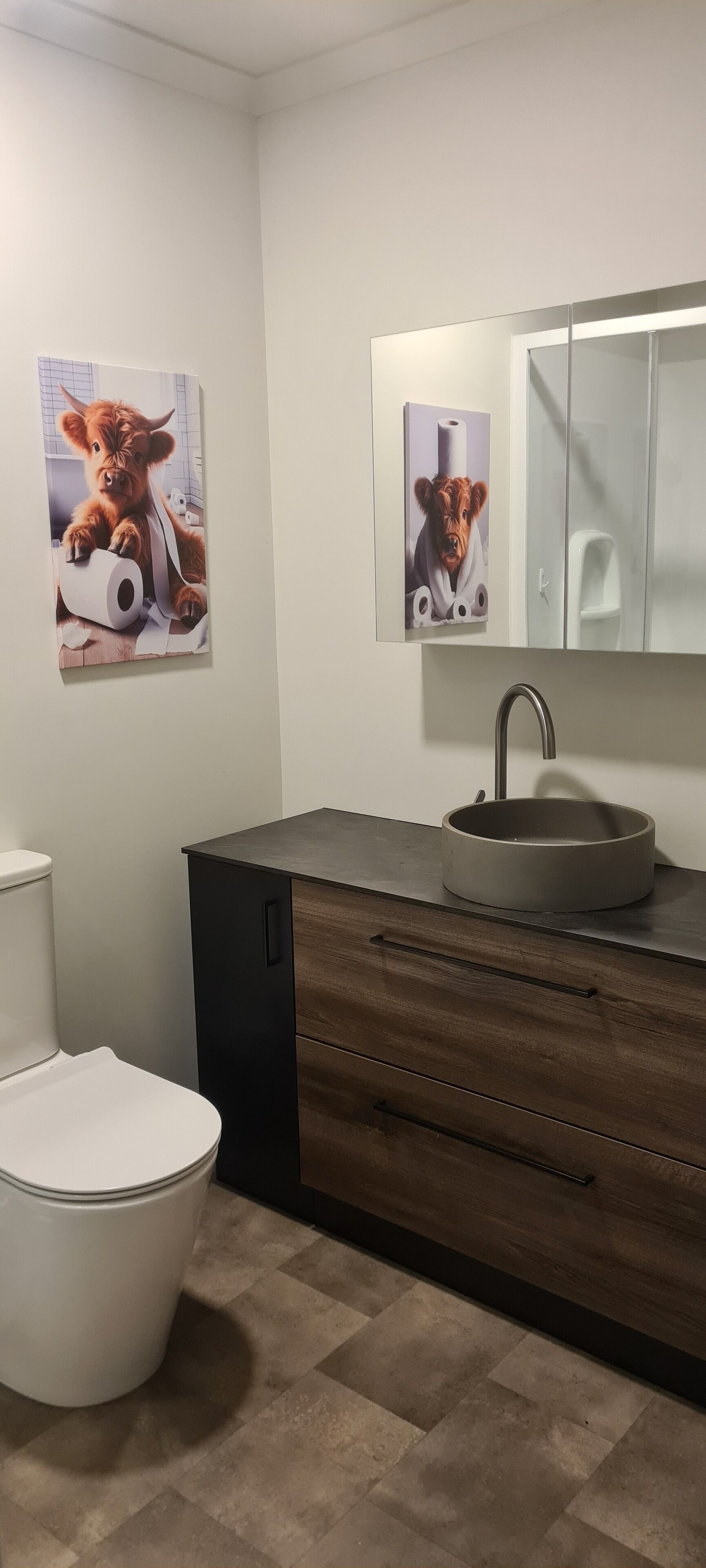 A bathroom with a toilet, a sink with a mirror, and two wall-mounted posters.