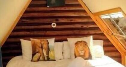 Forest small house-Lenana