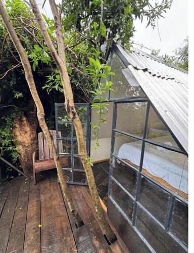 Forest small house-Lenana