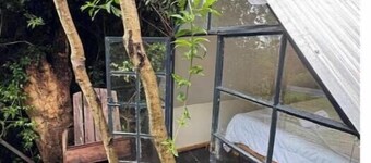 Forest small house-Lenana