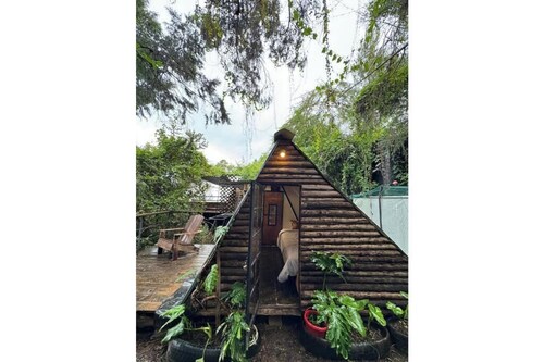 Forest small house-Nelion