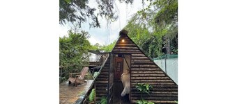 Forest small house-Nelion