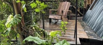 Forest small house-Nelion