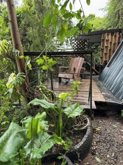 Forest small house-Nelion