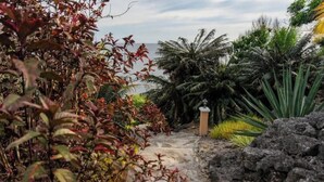 Un chemin menant à un bâtiment dont l’entrée est en pierre, entouré de plantes tropicales et offrant une vue sur l’océan.