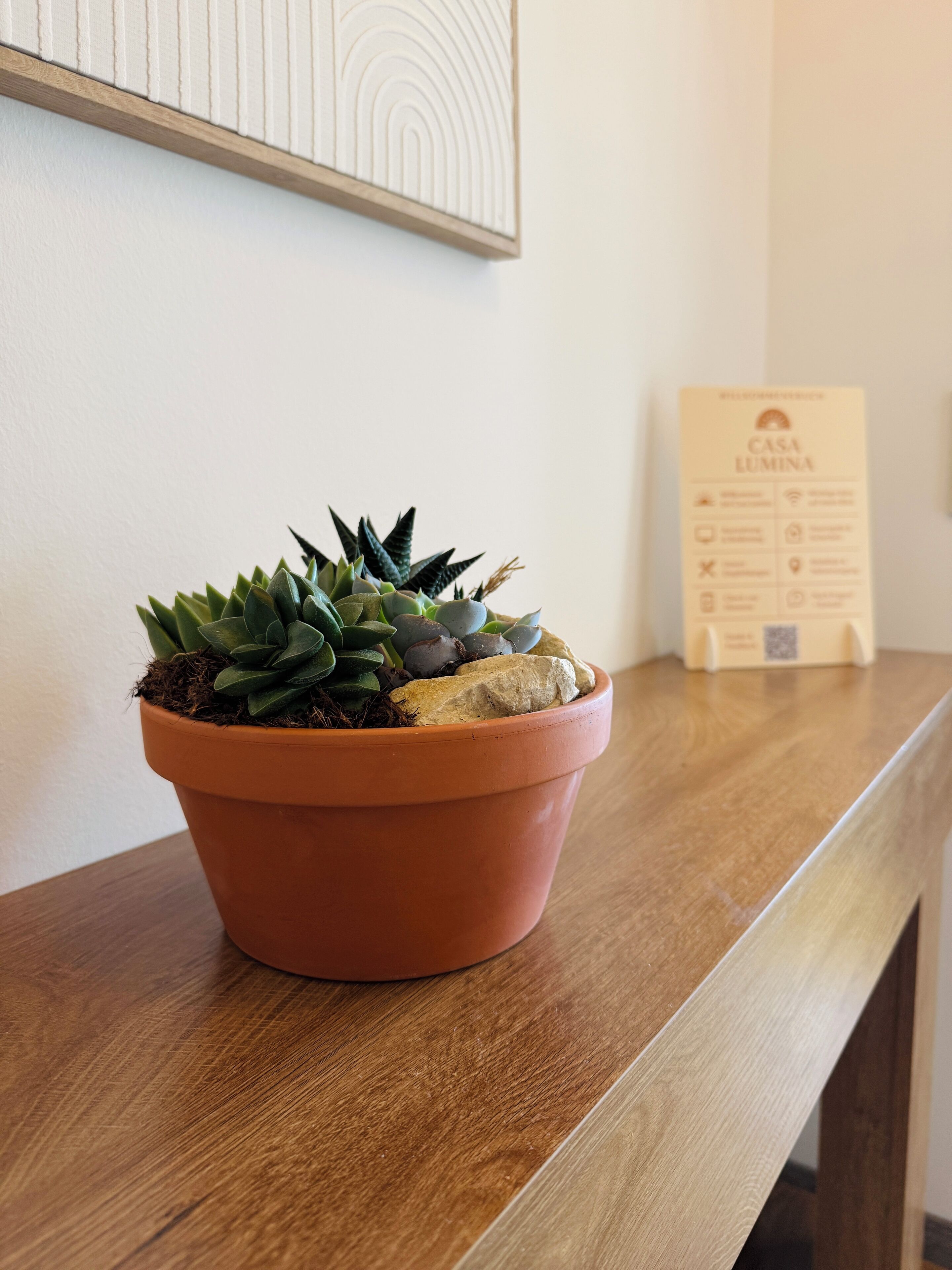 Una maceta de terracota con una planta suculenta sobre una mesa de madera.
