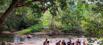 The Disco Studio - Unique Artist Escape with Swimming Hole