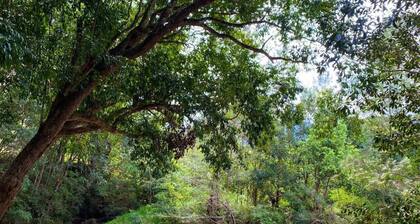 The Disco Studio - Unique Artist Escape with Swimming Hole