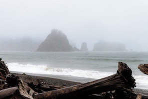 Beach - NEW - Downtown Forks, Hot Tub, Fire Pit, EV, Games (Forks)