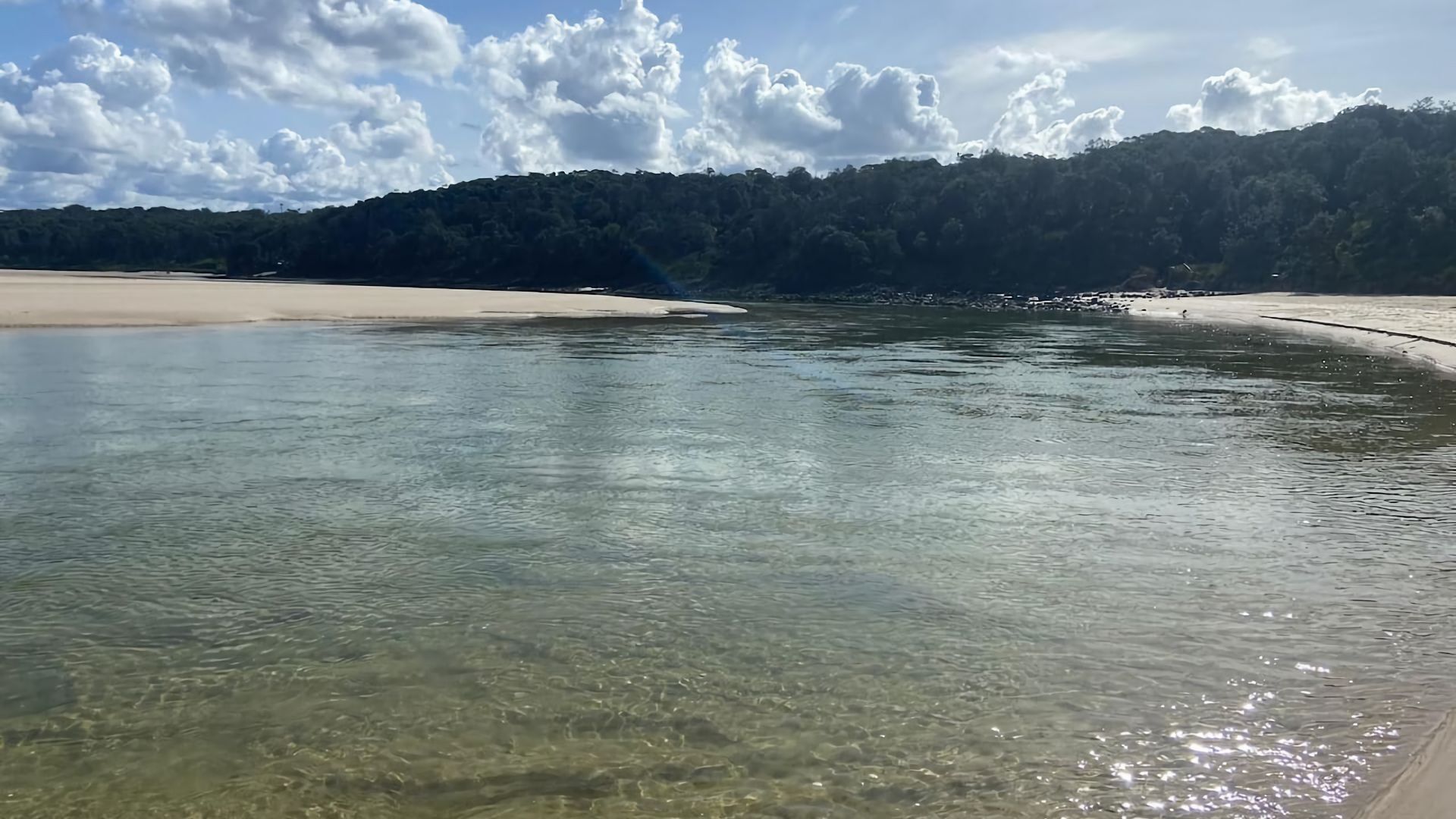 En tydlig vy över en strand med en sandstrand och en skogbeklädd kulle i bakgrunden.