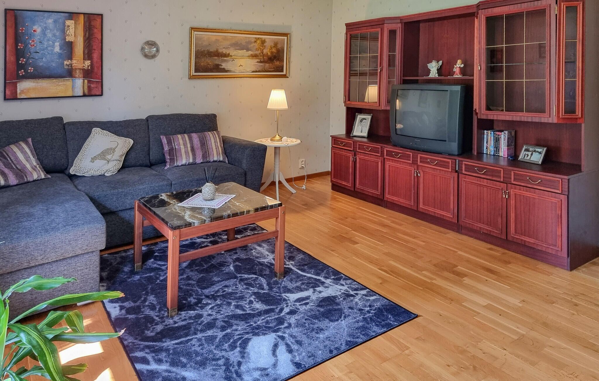 A living room with a grey sofa, a coffee table, a TV on a cabinet, and a blue patterned rug.