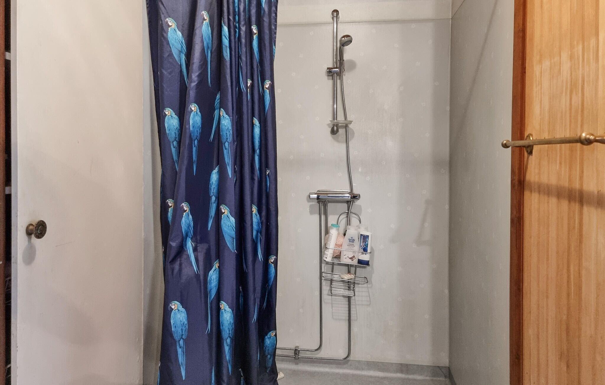 Zona de ducha con cortina azul estampada con loros, cabezal de ducha manual y toallero con artículos de aseo.