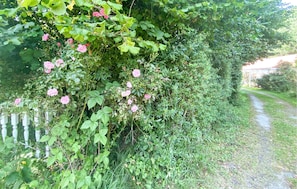 Terrain de lâhĂ©bergement