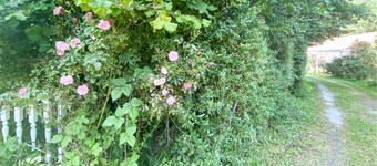 5 bedroom beautiful home in Byxelkrok