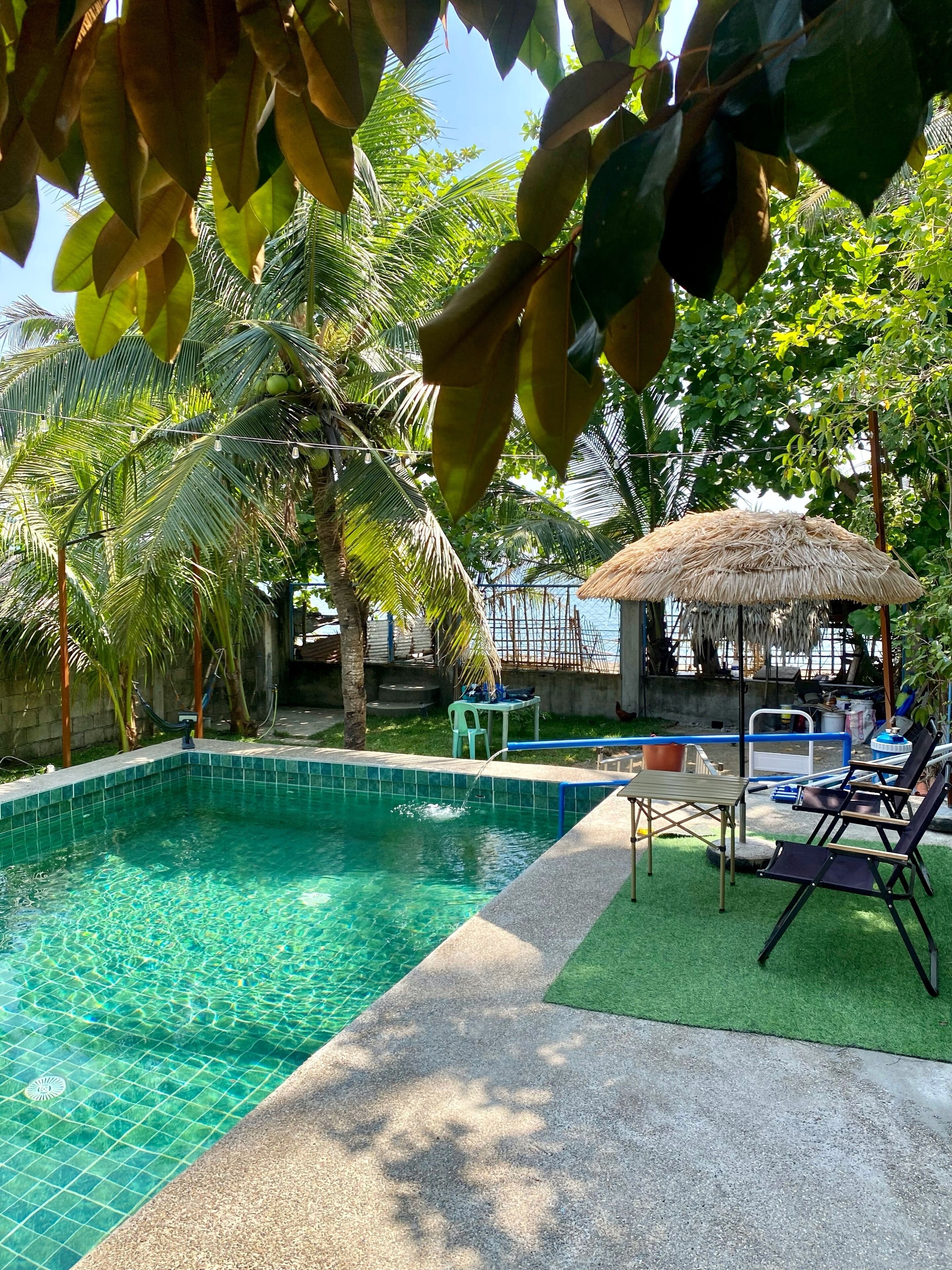 A swimming pool with clear water, surrounded by palm trees and a thatched-roof structure.