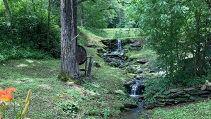 A natural landscape with a small stream, lush greenery, and a tree with a metal barrel. - Authentic Appalachian 200yr old Riverfront Farmhouse Cabin in Pittman Center.  (Sevierville)
