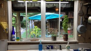 A kitchen with a double sink, a wooden cutting board, a blue bottle, a green plant, and a blue umbrella outside the window. - Authentic Appalachian 200yr old Riverfront Farmhouse Cabin in Pittman Center.  (Sevierville)