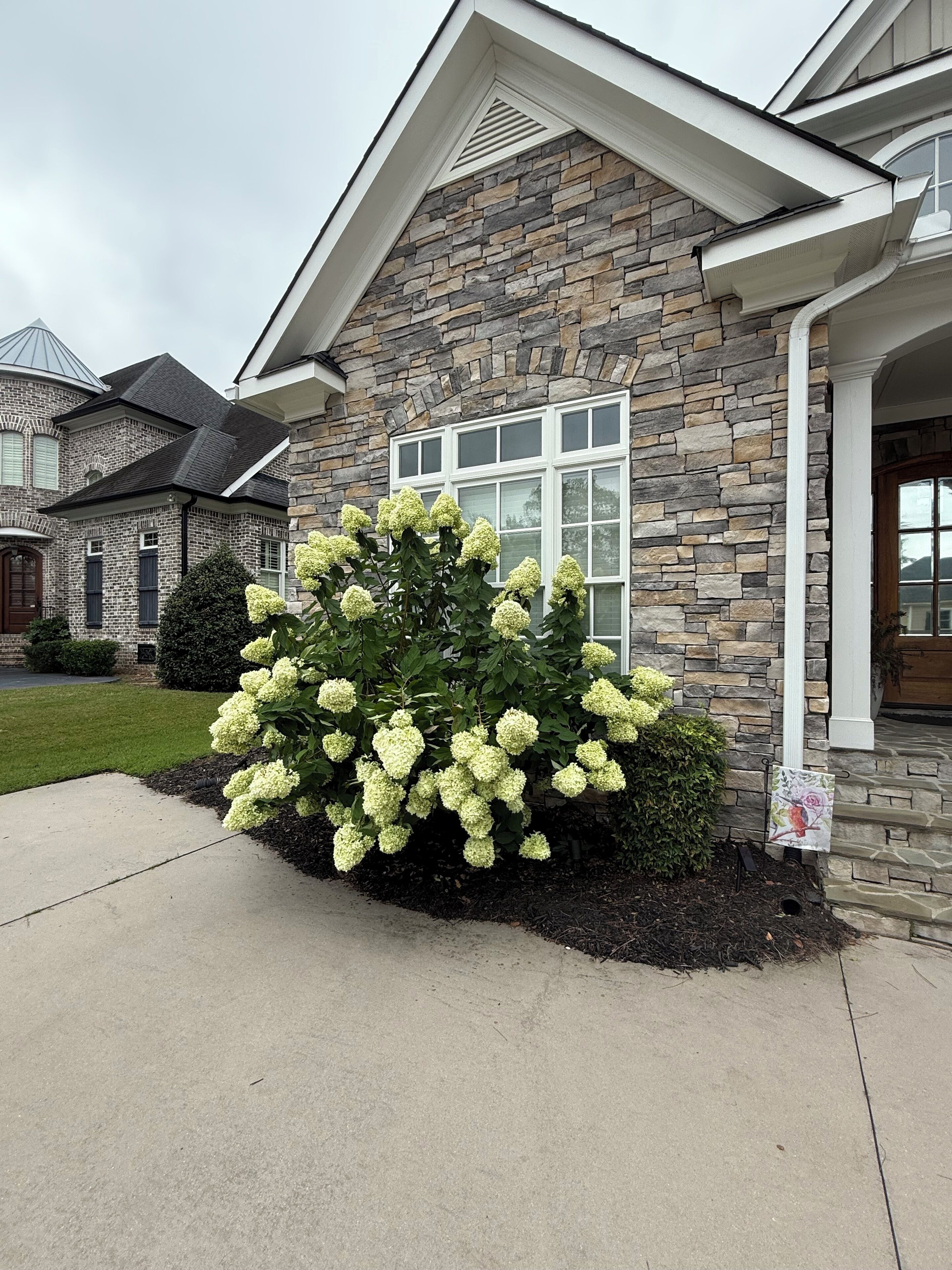 A house with a stone facade, a large window, and a well-maintained garden with hydrangea bushes.