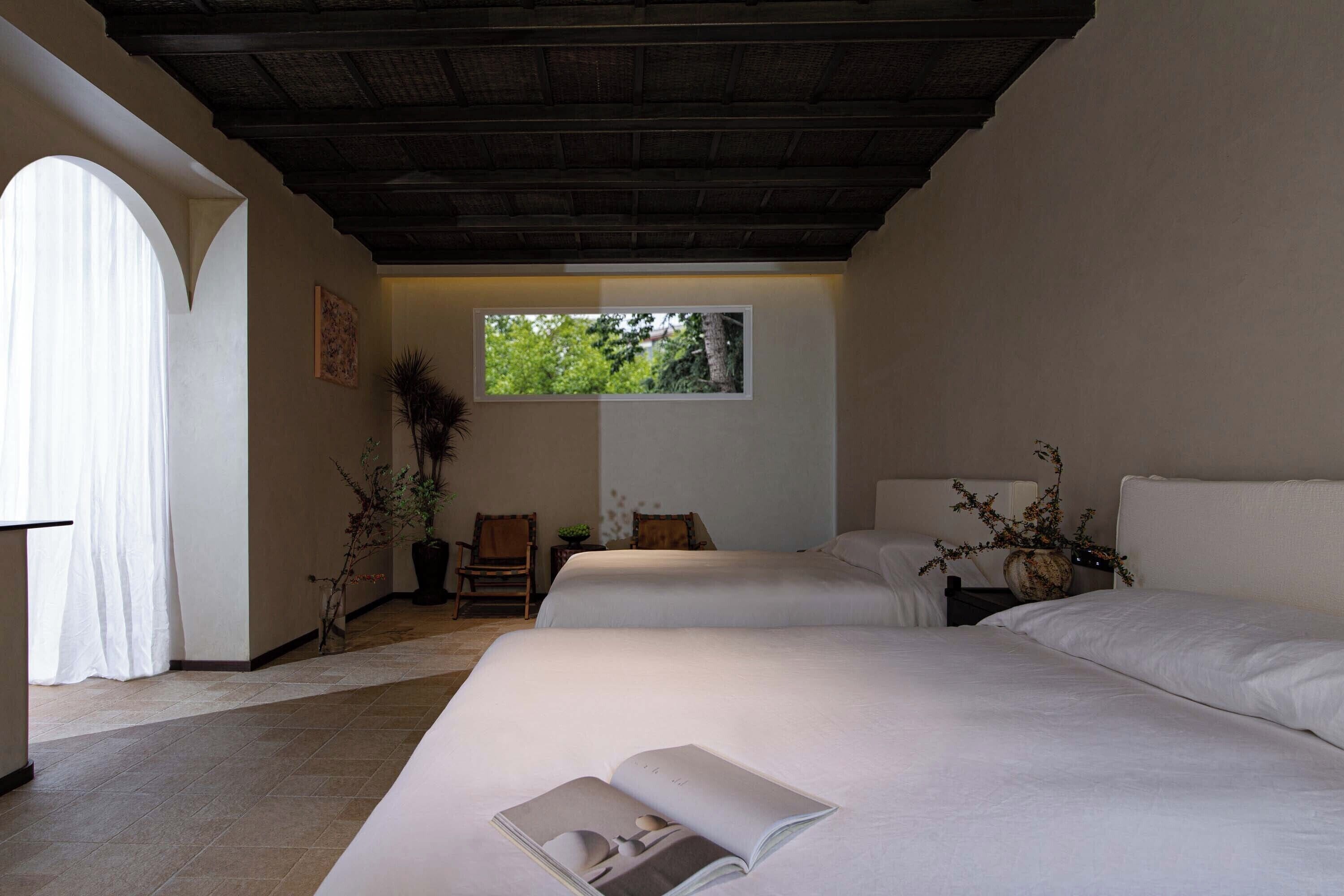 A hotel room with two beds, a window, a plant, and a book on the bed.