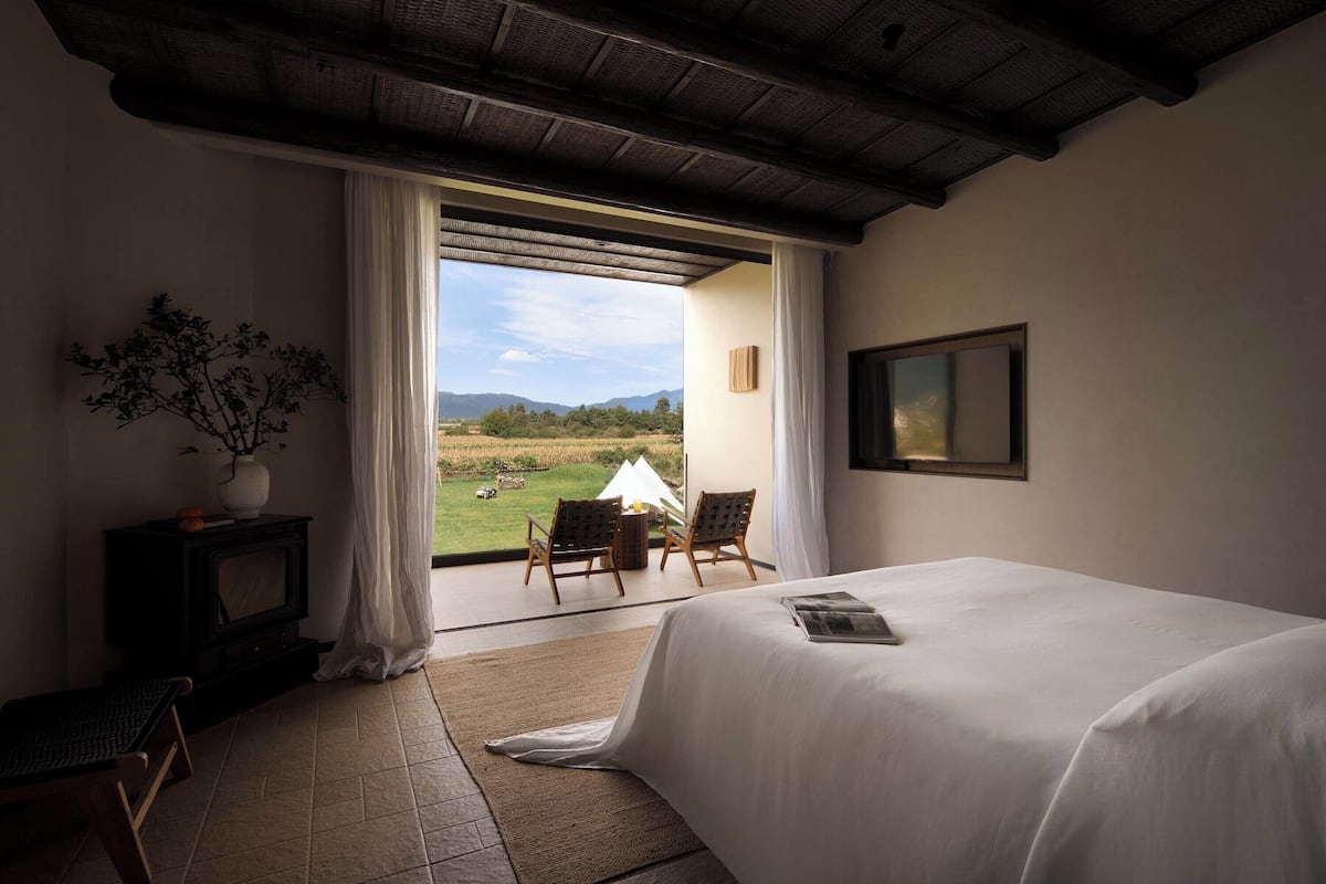 A bedroom with a bed, a TV, a plant, and a view of the outdoors.