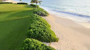 A golf course with a beach view, a palm tree, and a thatched-roof building.