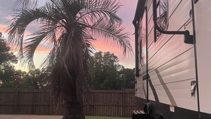 A residential area with a palm tree and a mobile home. - Convenient to UA, Northport and Mercedes (Tuscaloosa)