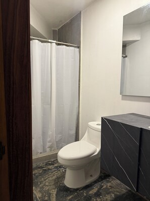 Shower, towels, toilet paper