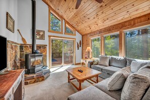 TV, fireplace, books