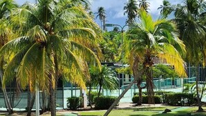 A well-maintained garden with palm trees and manicured lawns, likely part of a resort or hotel property.