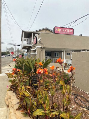 المنطقة المحيطة بالمنشأة