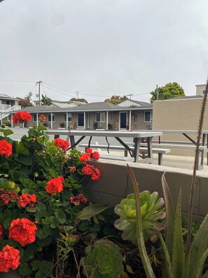 تناول الطعام بالخارج