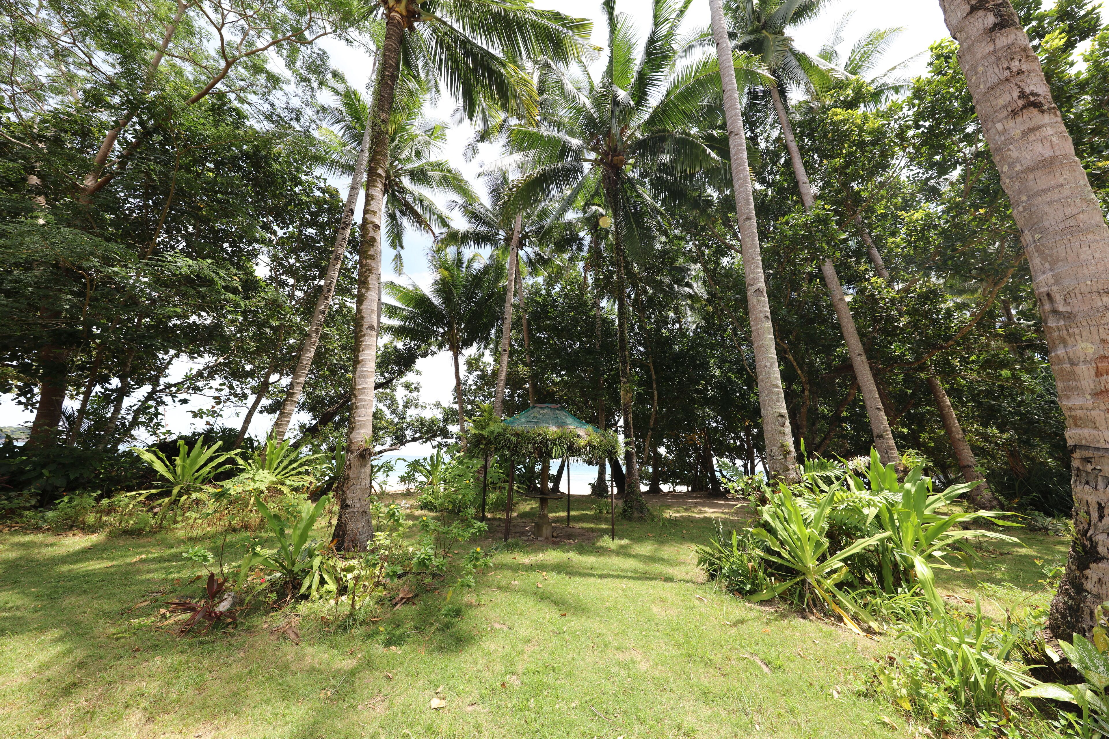 Jardin