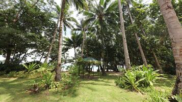 Jardin