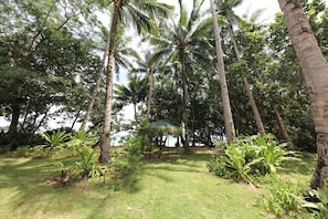 Garden - Kiao Beach (Puerto Princesa)
