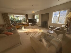 Smart TV, fireplace, books