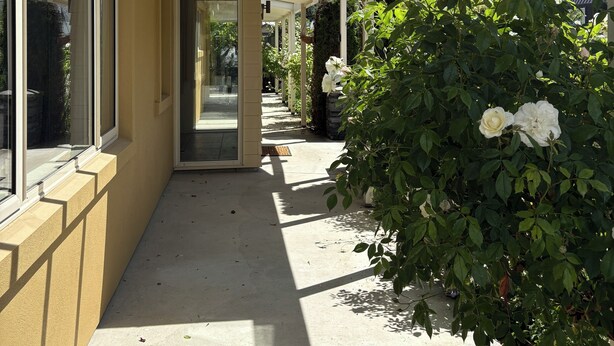 A covered outdoor corridor with a skylight, a pathway, and a bush with white flowers. - Alpine Rose Retreat (Arrowtown)