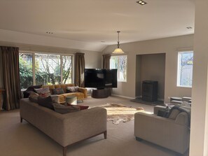 Smart TV, fireplace, books