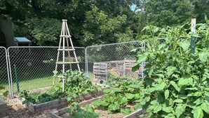 Un jardin avec des plates-bandes surélevées et une échelle en bois.