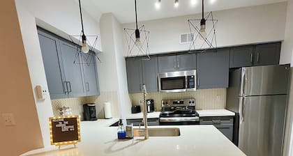 Modern Executive Suite- NRG, Medical Center, Downtown Houston