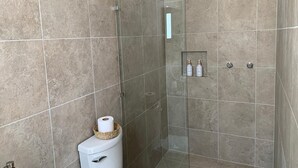 Ducha con puerta de vidrio, inodoro blanco y estante pequeño con artículos de aseo.